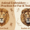 Animal Embroidery: Best Practices for Fur & Texture