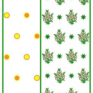 AllOver October 2016 Bulk Download | 50 Designs