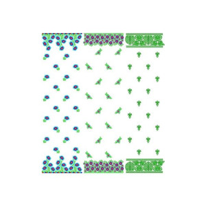 Dupatta Jan 2015 Bulk Download | 60 Designs