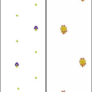 Dupatta June 2017 Bulk Download | 50 Designs