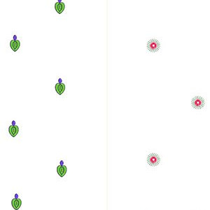 Dupatta Sep 2017 Bulk Download | 50 Designs