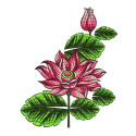 Lotus Flower Embroidery Designs