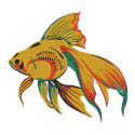 Fish Embroidery Designs for Machine Embroidery