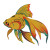 Fish Embroidery Designs for Machine Embroidery