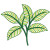 Leaf Embroidery Designs