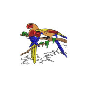 multicolor-exotic-macaw-parrot-embroidery-design-1020x1020