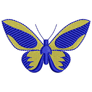 Blue Morpho Butterfly Wall Art Design