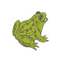 Frog Applique Embroidery Design