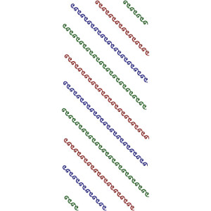 10211 Allover Embroidery Design