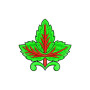 Green Maple Leaves Embroidery Design