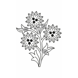 Patch Embroidery Design 18332