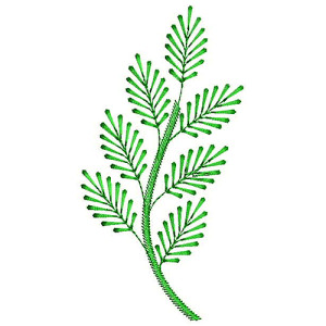 Applique Embroidery Design 18742