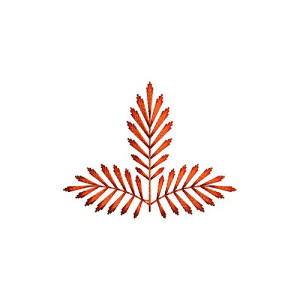 Pine Leaves Embroidery Design