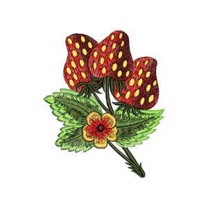 Strawberries Embroidery Design 21585