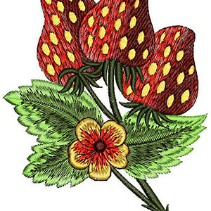 Strawberries Embroidery Design 21585
