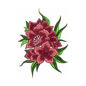 Most Beautiful Daisy Flower Design 21592