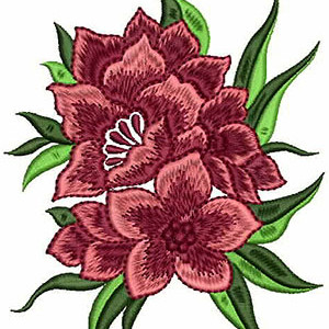 Most Beautiful Daisy Flower Design 21592