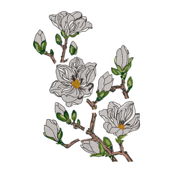 Aesthetic White Flowers Branch Applique Embroidery 24148