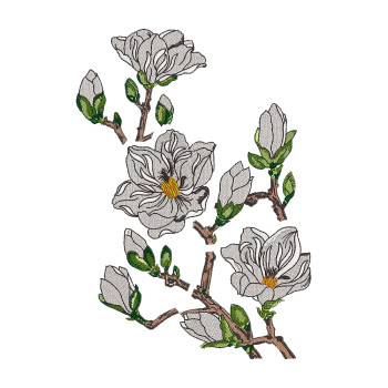 Aesthetic White Flowers Branch Applique Embroidery 24148