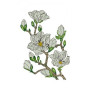 Aesthetic White Flowers Branch Applique Embroidery 24148