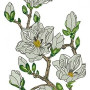 Aesthetic White Flowers Branch Applique Embroidery 24148