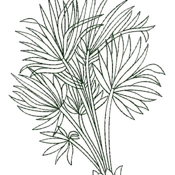 Simple Grass Outline Embroidery Design 25174