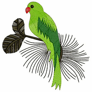 Parrot Applique Embroidery Design 30237