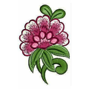 Designer Takchita Applique Embroidery Design