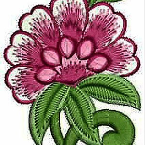 Designer Takchita Applique Embroidery Design