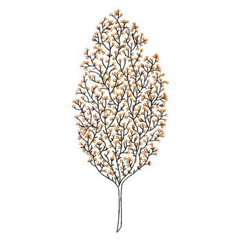 Cherry Blossom Embroidery