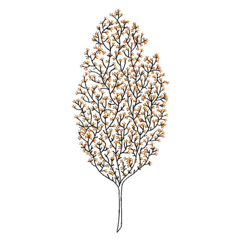 Cherry Blossom Embroidery