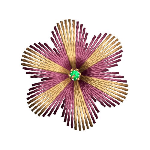 Chikan Butti Embroidery