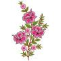 Delicate Flower Petals Blossom Beauty Embroidery Design