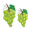Grapes Embroidery Design