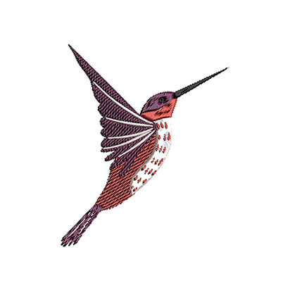 Hummingbird Embroidery Design