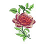 Large Flower Embroidery Pattern For Jackets
