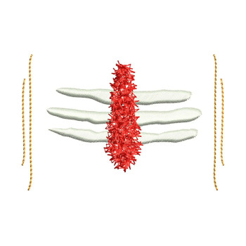 Lord Shiva Tilak Design