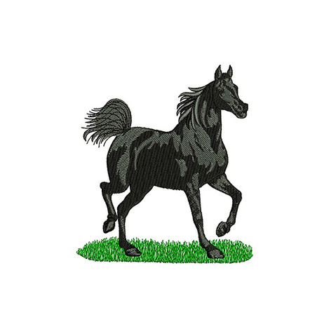 Mustang Horse Embroidery Design
