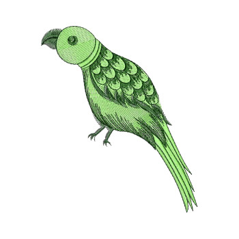 Parrot Embroidery Pattern