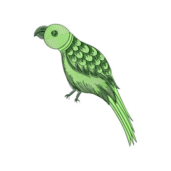 Parrot Embroidery Pattern