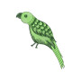 Parrot Embroidery Pattern