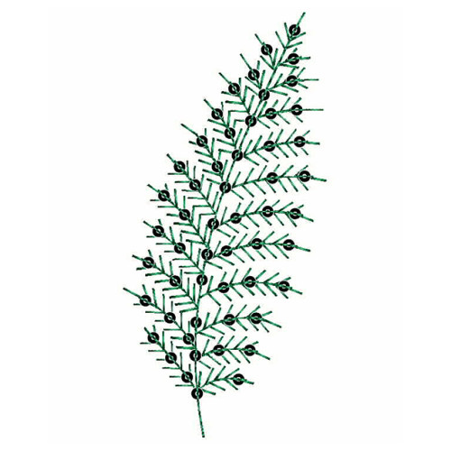 Tea Tree Leaf With Sequins Embroidery