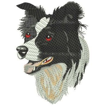 Border Collie Embroidery Designs 26423