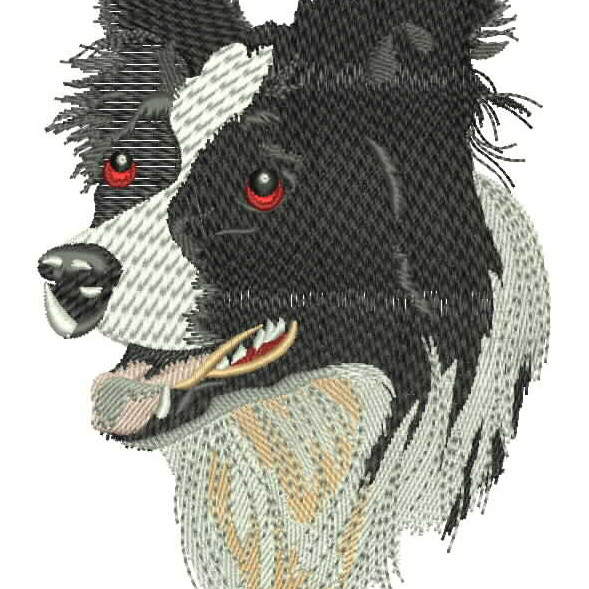 Border Collie Embroidery Designs 26423
