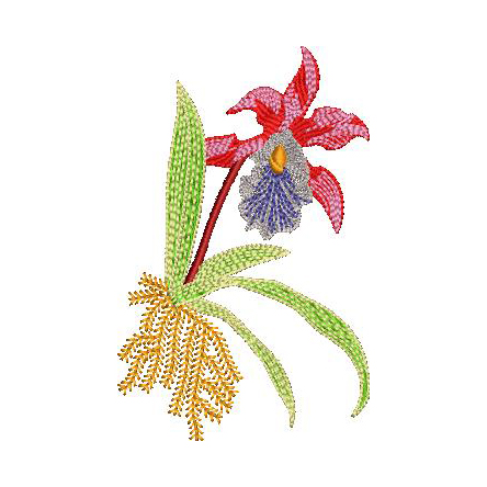 Kashmiri Margazhi Peacock Embroidery Design