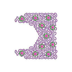 Heavy Embroidery Blouse Design