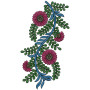 Lace Embroidery Design 13217