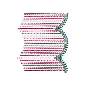 New Trendy Border On Salwar Kameez 15594