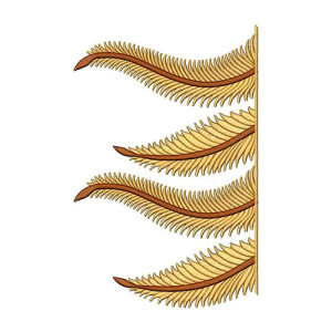 Latest Border Design 26420