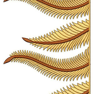 Latest Border Design 26420